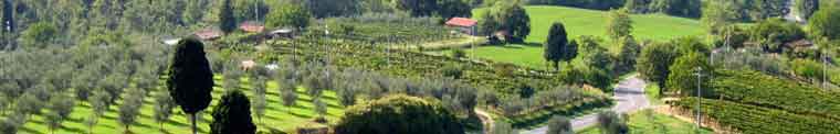 Your Own Private Tuscany